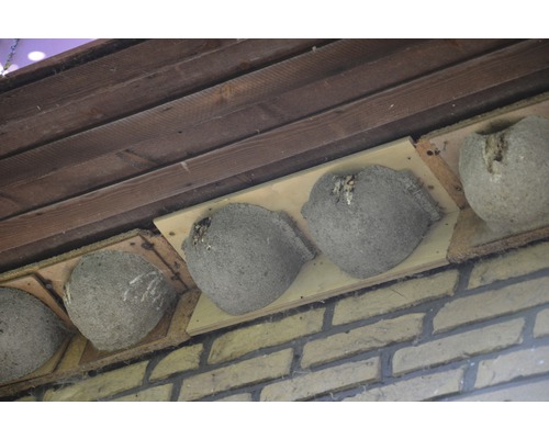 SCHWEGLER Huiszwaluw Dubbelnest 9B 46 x 15,5 x 11 cm grijs