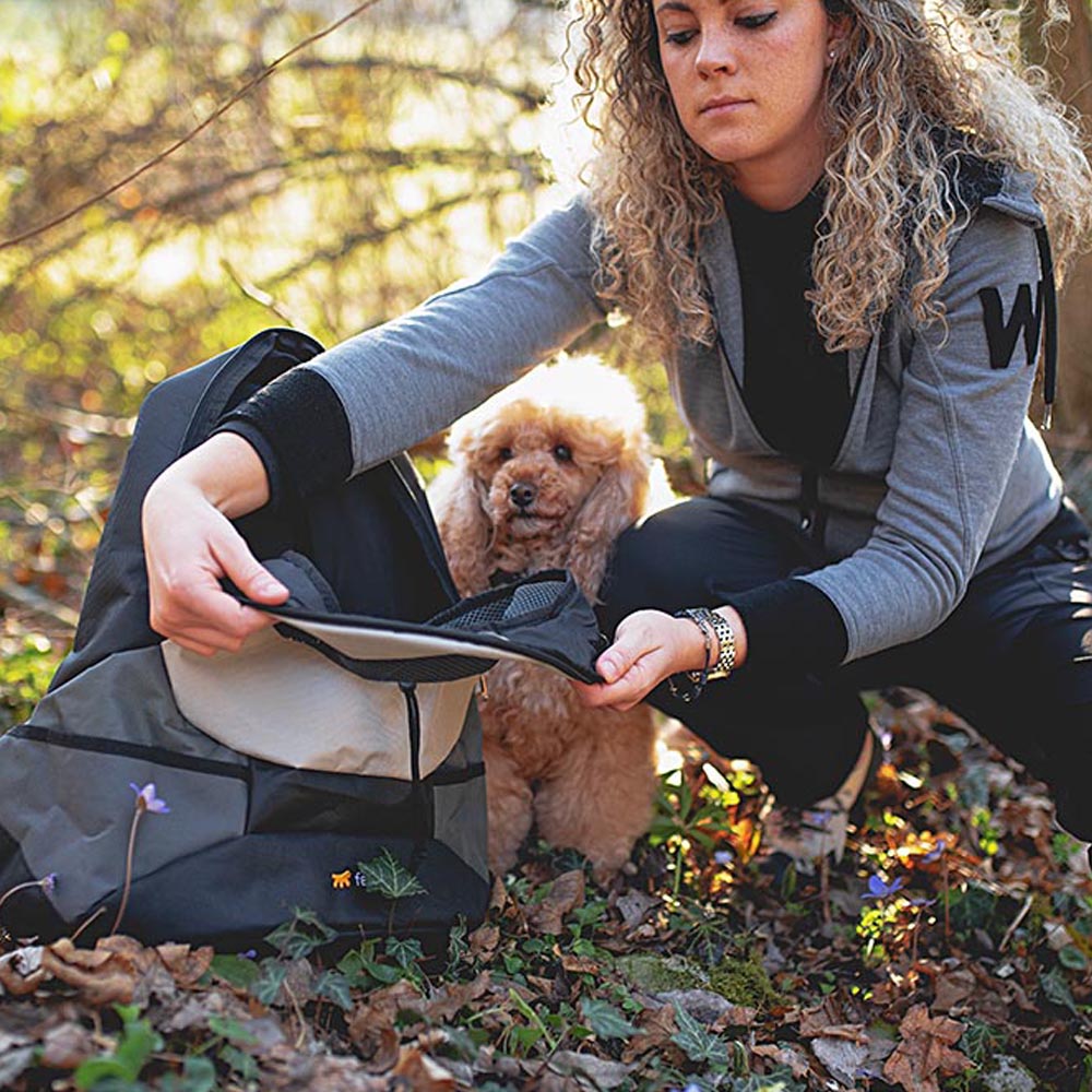 Sac à dos transport pour petits chiens kangoo large, épaules rembourrées, matériau robuste et durable, gris