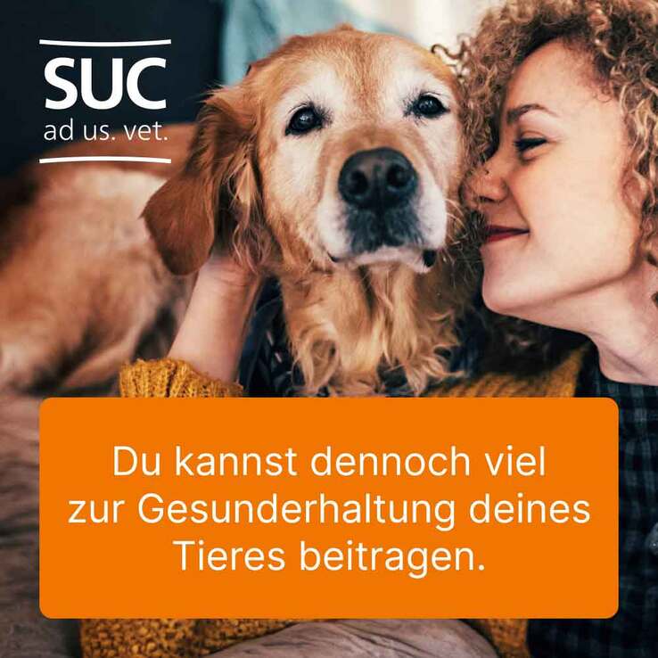 Suc Kombination, 3x10 St
