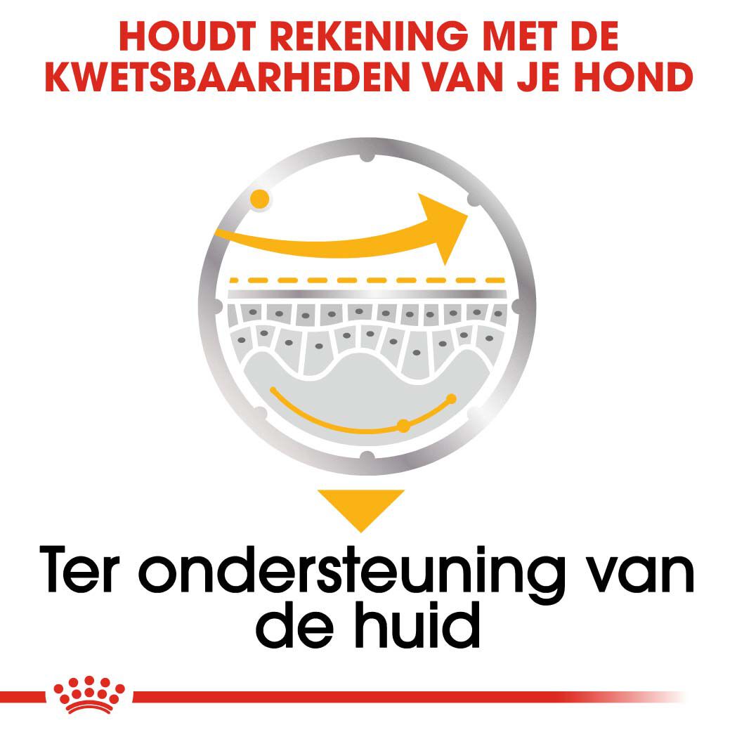 Royal Canin Dermacomfort Wet - Hondenvoer - 1020 Gram - gevogelte