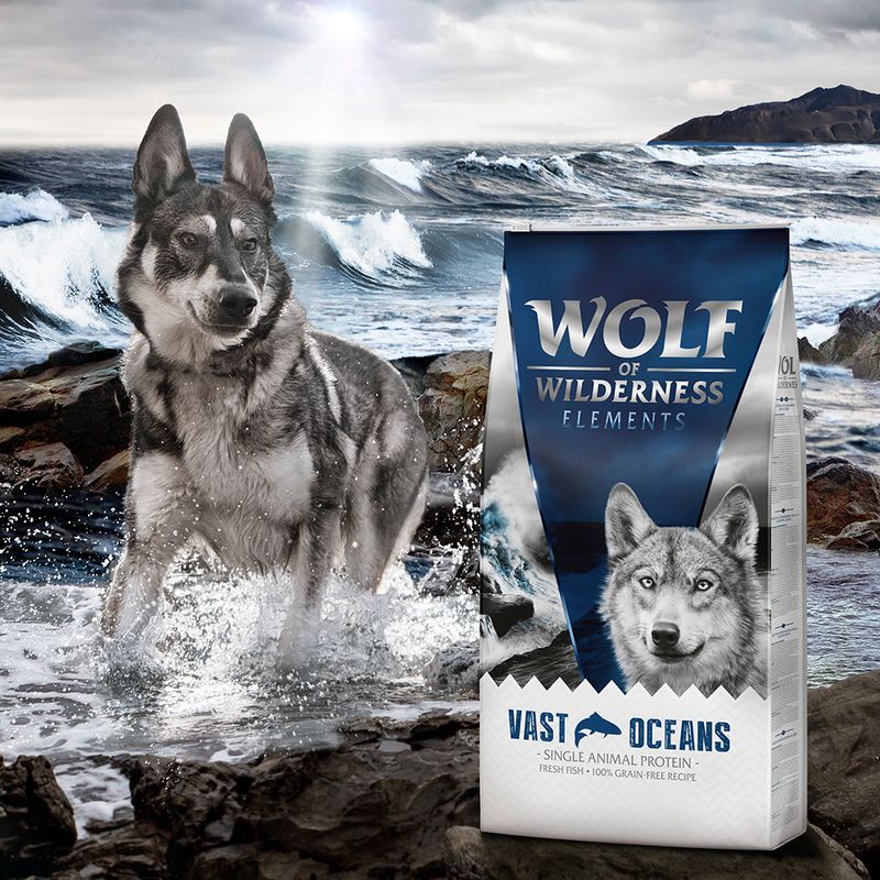Wolf of Wilderness Vast Oceans, poisson
