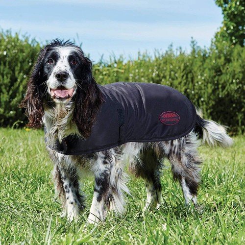 Casaco para cães Weatherbeeta, marrom