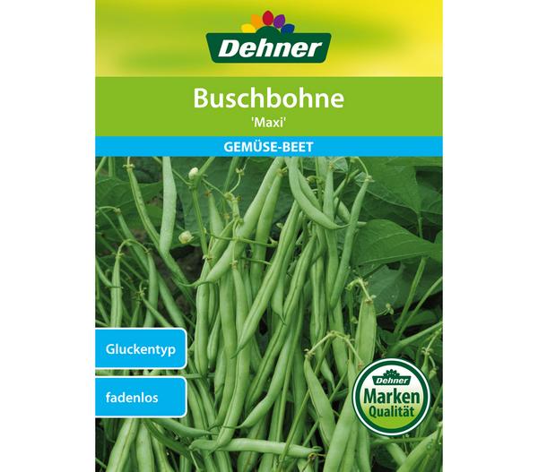 Dehner Samen Buschbohne 'Maxi'
