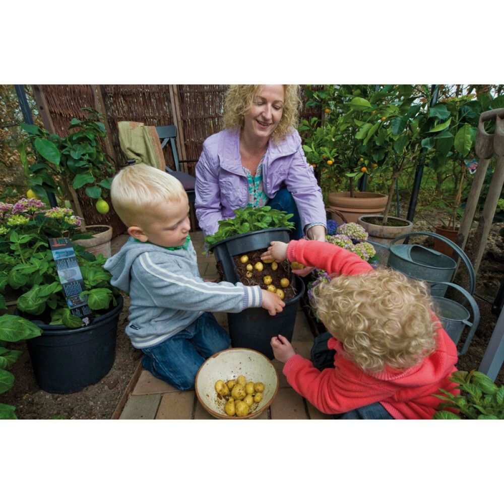 POTETPOTTE GARDEN LIFE