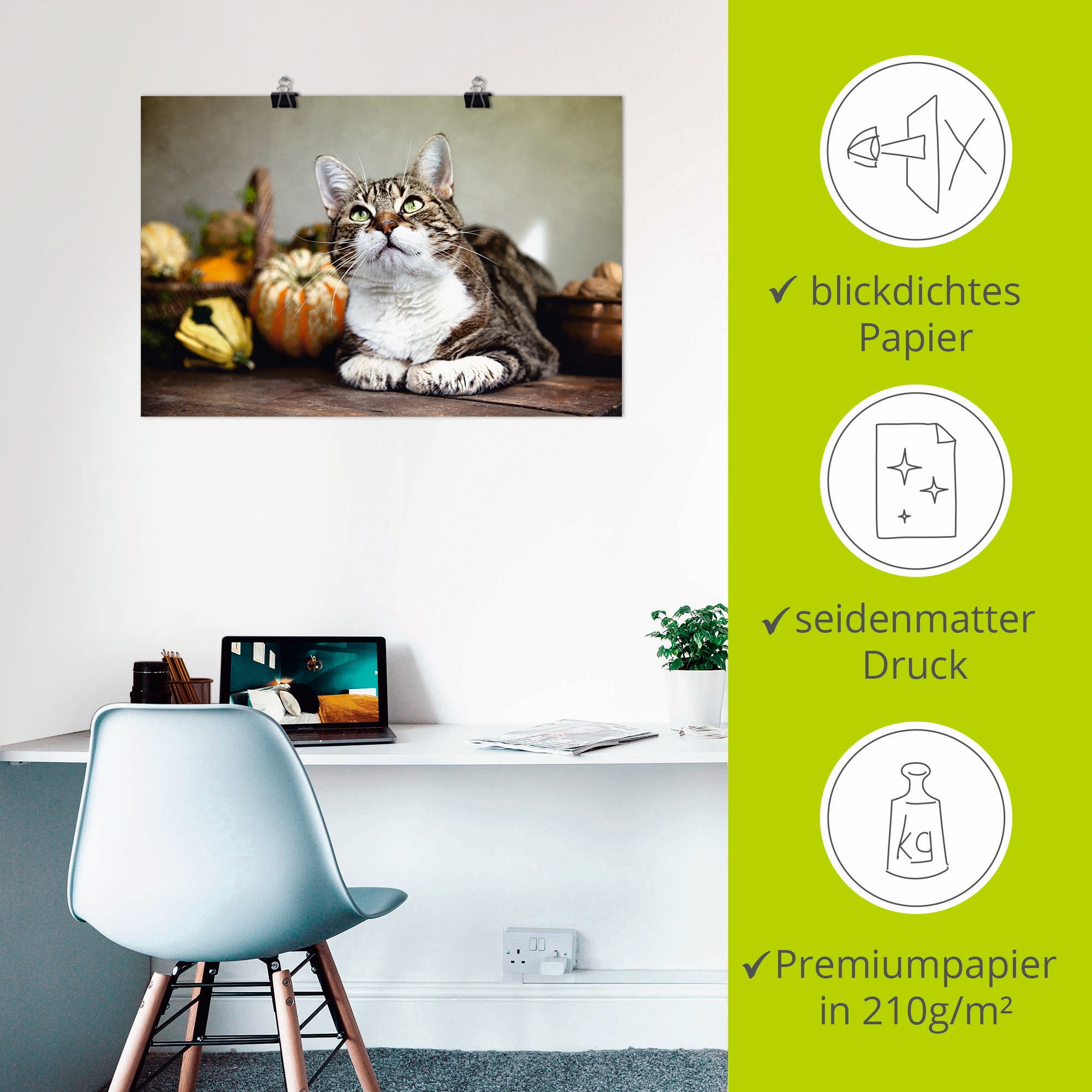 Artland Poster »Katze und Herbstdeko« Haustiere 1 Stk. tlg. als Alubild, Leinwandbild, Wandaufkleber oder Poster in versch. Grössen