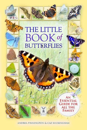The Little Book of Butterflies (Paperback)