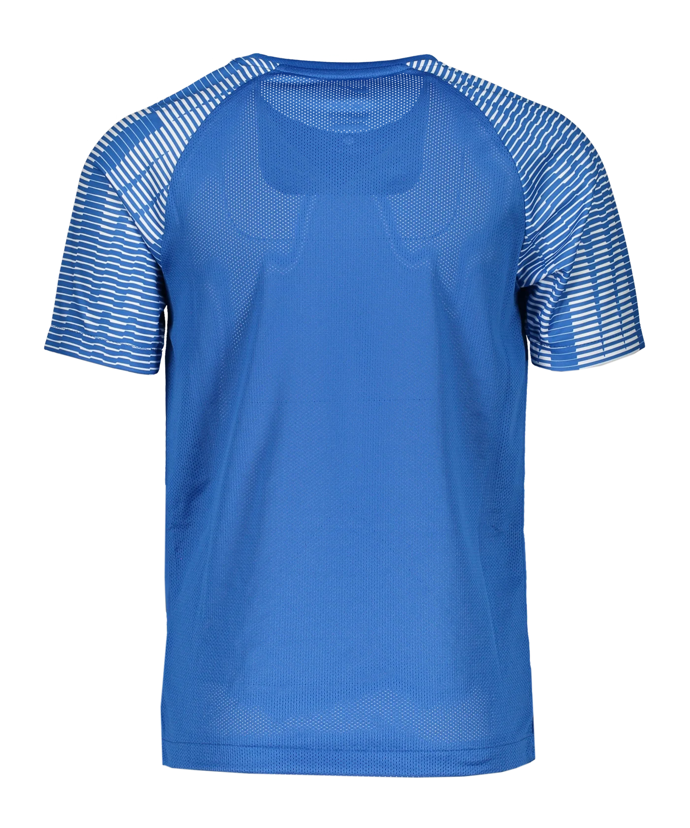 Nike Academy Trikot Kids Blau F463