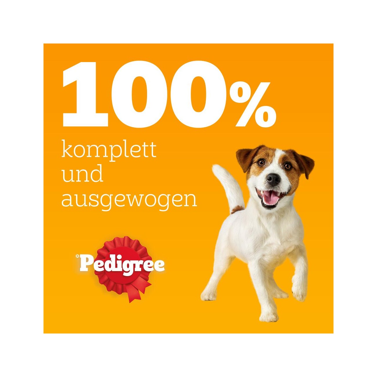 Pedigree Nassfutter Hund Adult, Multipack, Gemischte-Selektion mit Gemüse, in Sauce 80x100 g