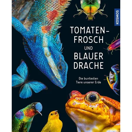 KOSMOS Tomatenfrosch und blauer Drache: Die buntesten Tiere unserer Erde