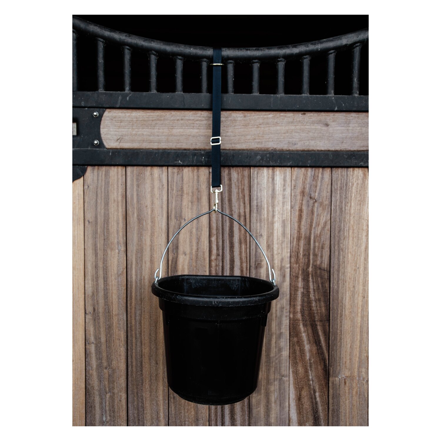 KENTUCKY Nylon Halter Hook & Ring  - black
