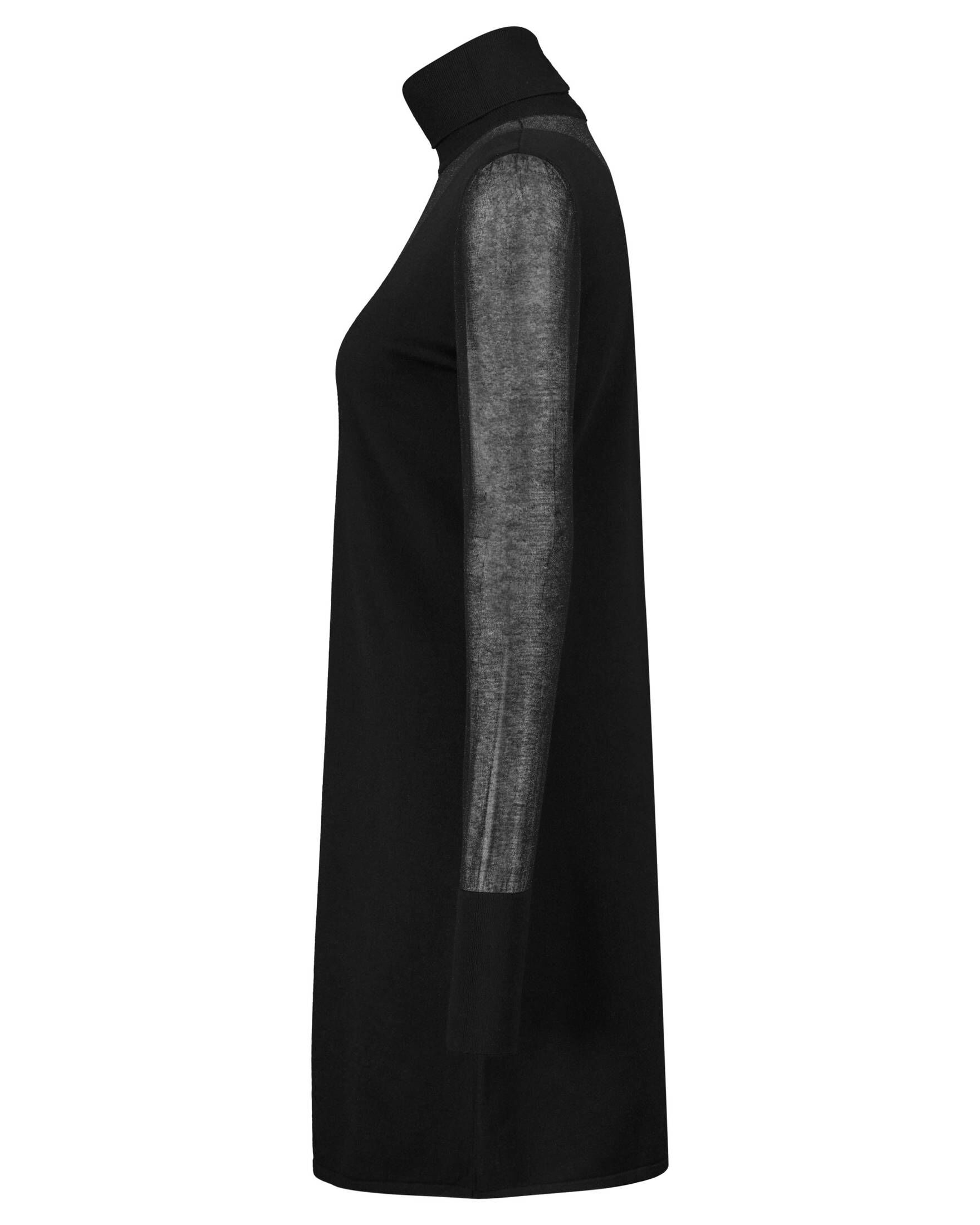 Riani| Damen Strickkleid mit Rollkragen