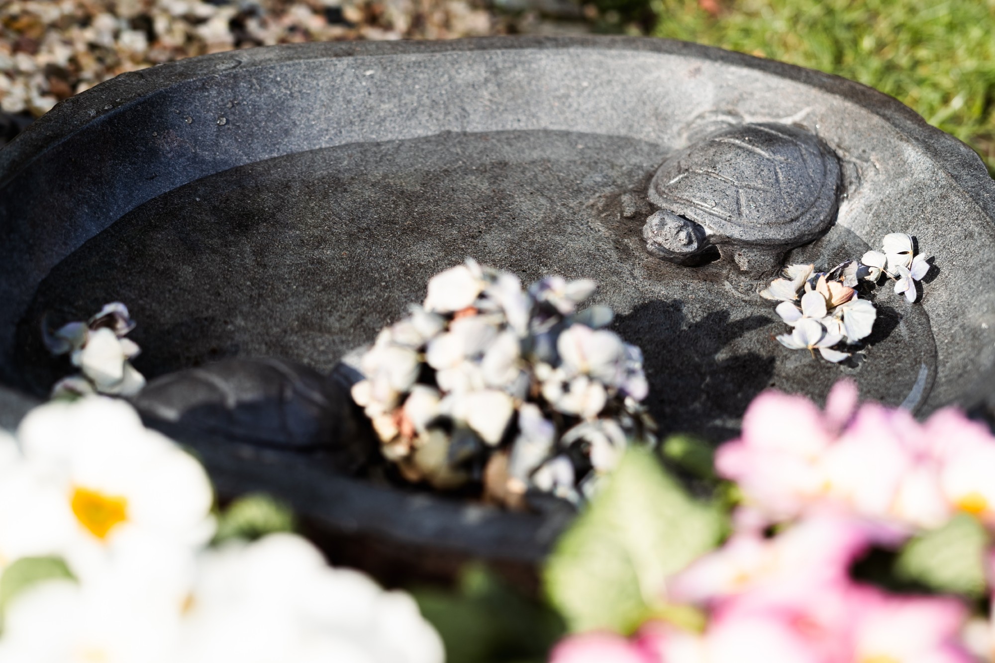 Vogeltränke 'Turtle', natur, Ø 40 cm, H 11 cm günstig bestellen