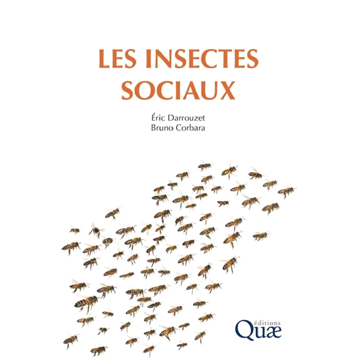 Les insectes sociaux