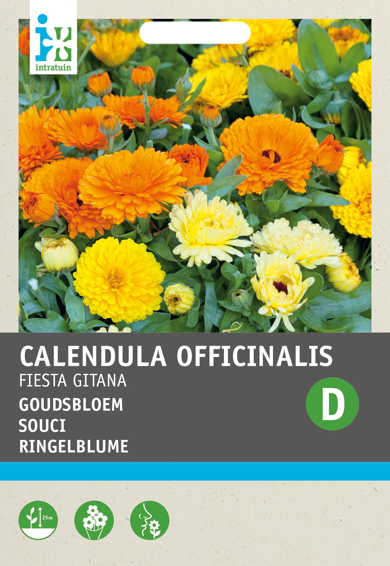 Intratuin bloemenzaad Goudsbloem gemengd (Calendula officinalis 'Fiësta Gitana')