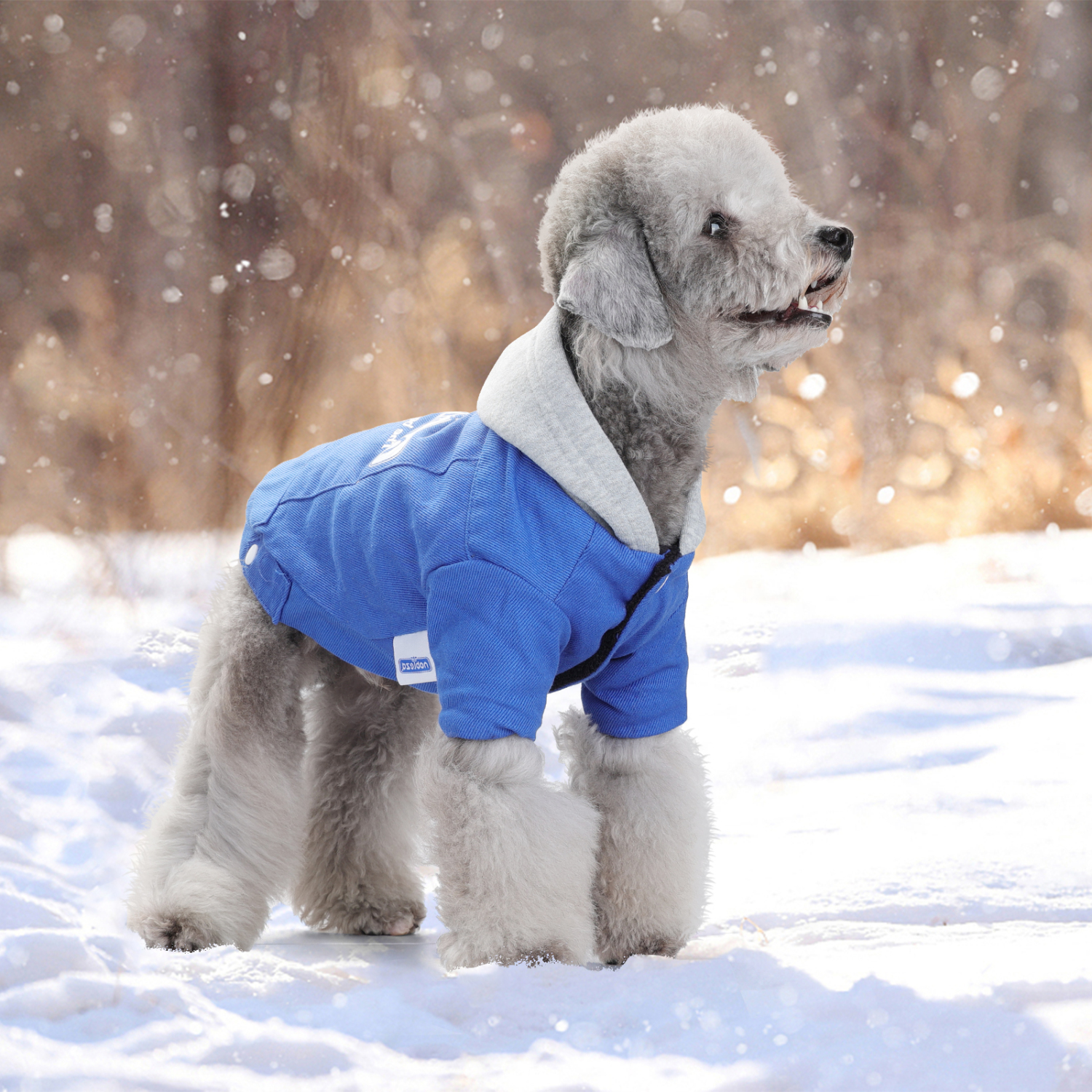 Casaco com capuz Nobleza para cães pequenos, roupa de inverno para cães e gatos, azul.