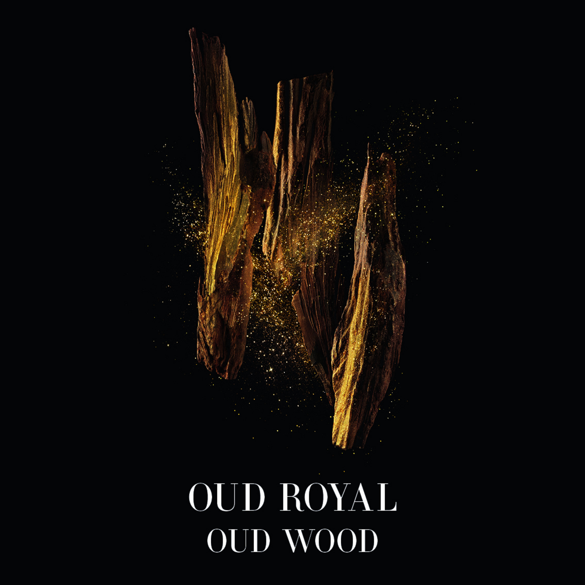 GIORGIO ARMANI Privé Oud Royal Eau de Parfum 100 ml