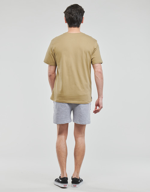 Element - VERTICAL SS - Beige / Violet