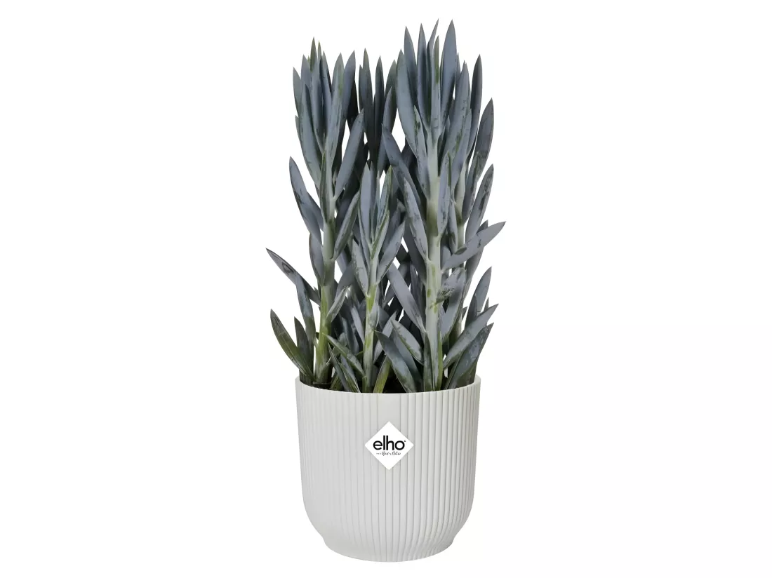 Pot De Fleurs Rond VIBES - Plastique - Ø22 - Blanc