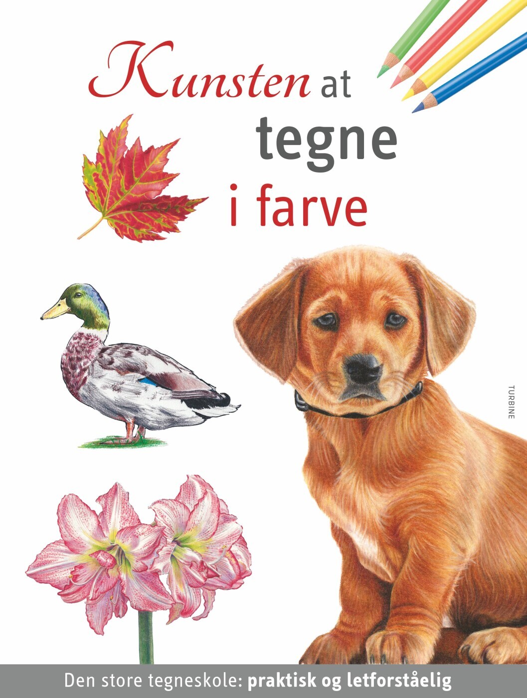 Kunsten At Tegne I Farve - Bog