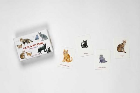 Cats & Kittens: A Memory Game