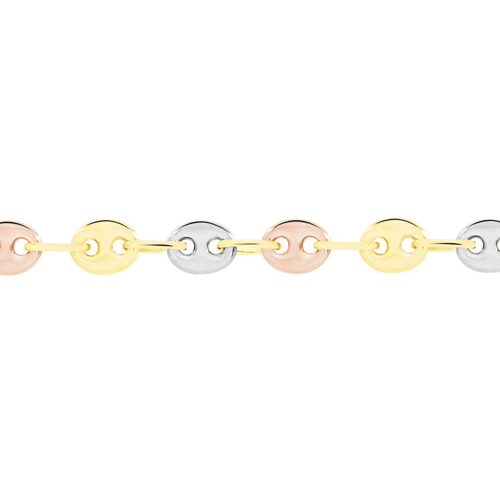 Collier Lou-ange Maille Grain De Café Or Tricolore