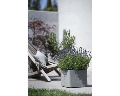 Geli Cube vierkante bloempot van kunststof, 39 x 39 x 32 cm, lichte betonkleur