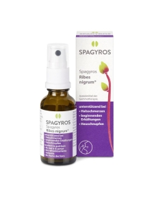 SPAGYROS Ribes nigrum Mundspray D1, 30 ml