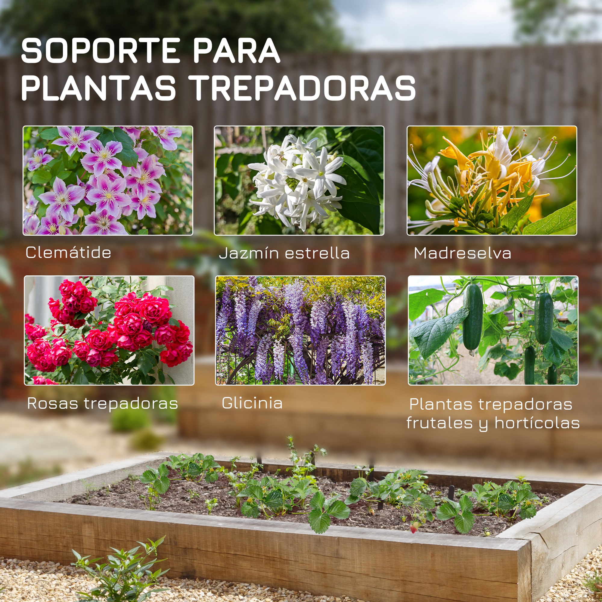 Conjunto de 2 treliças de jardim Outsunny, suportes para trepadeiras com estrutura de aço para plantas trepadeiras e decoração de pátios e terraços, 55x128 cm, pretas