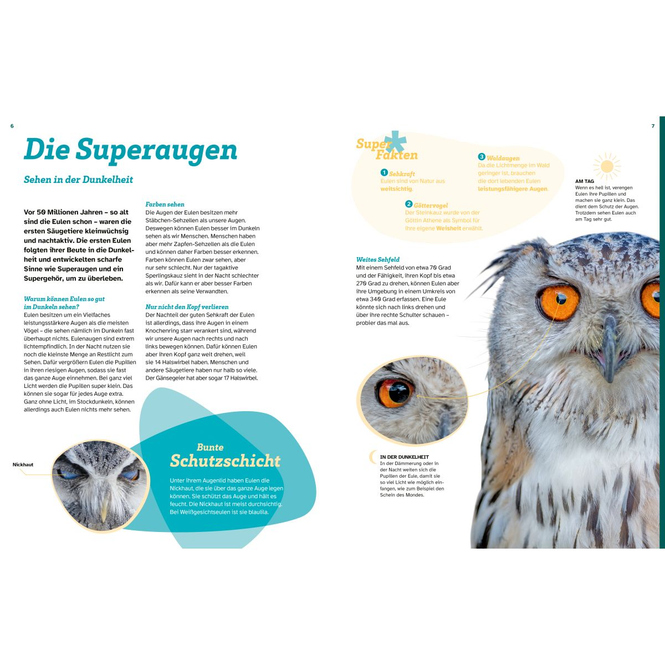 WAS IST WAS - Eulen - Jäger mit Supersinnen