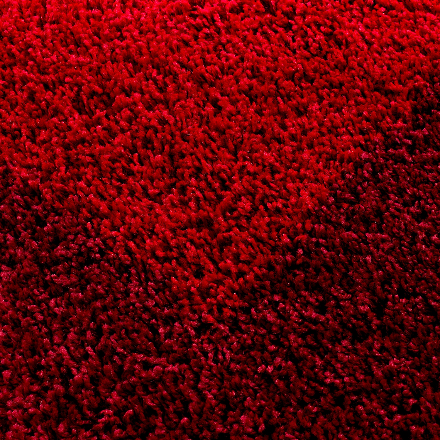 Designer Hochflor Teppich, Langflor Shaggy Teppich 2 farbig Bordüre Muster