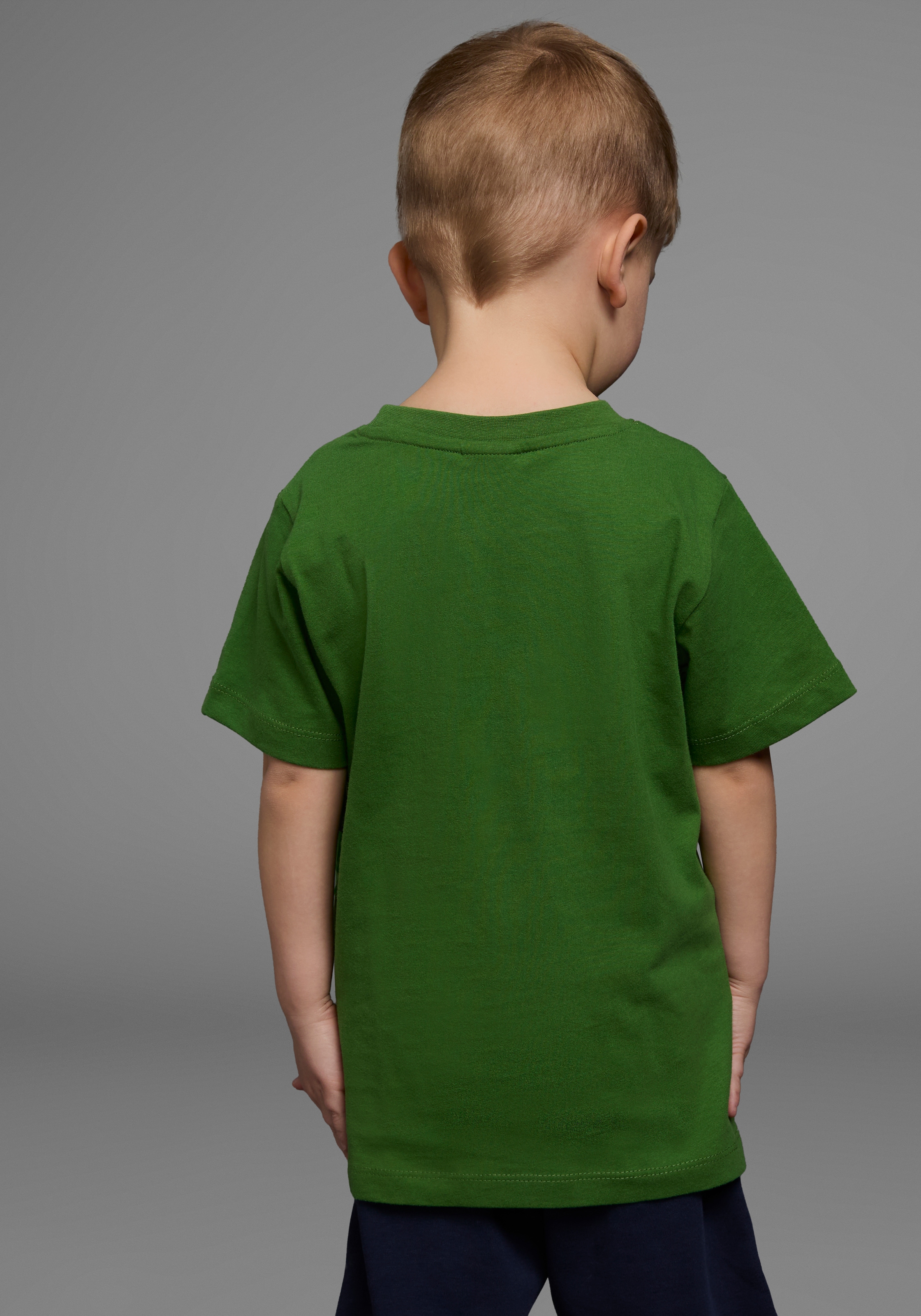 KIDSWORLD T-Shirt »DINOSAURIER«, Kurzarm,  Basic-Passform,  bedruckt,  Rundhalsausschnitt