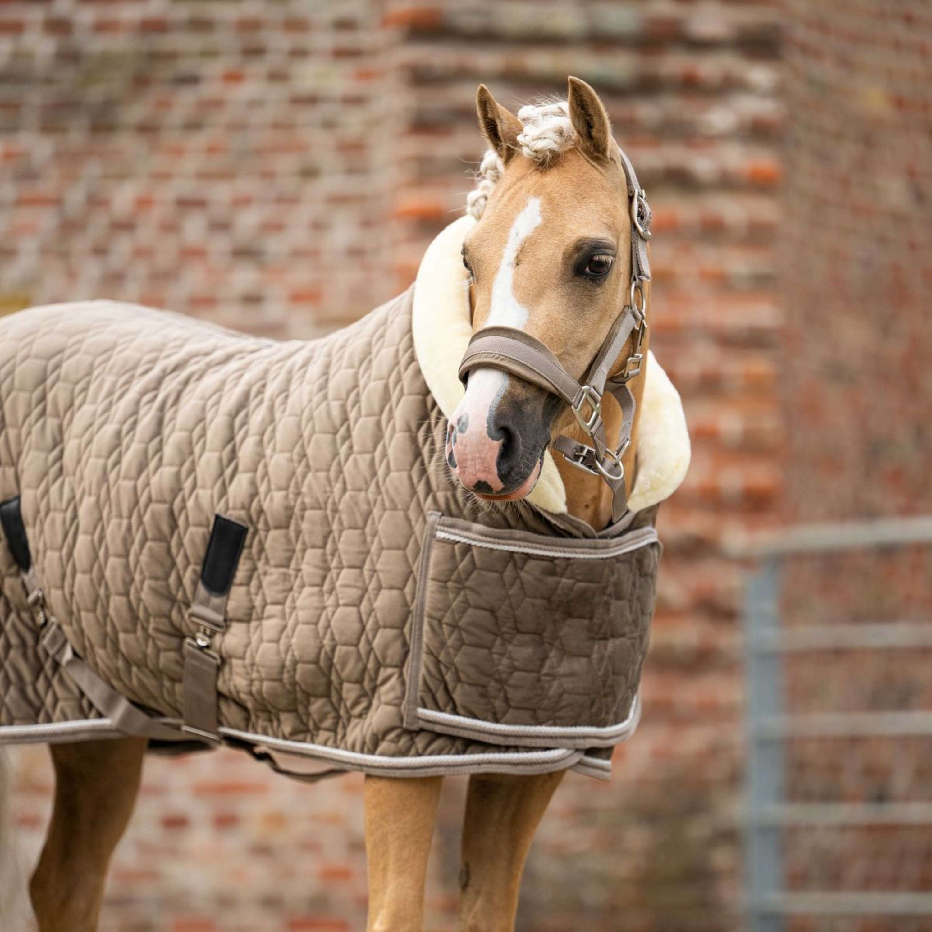 HB Ruitersport Showdeken Special Peach Taupe