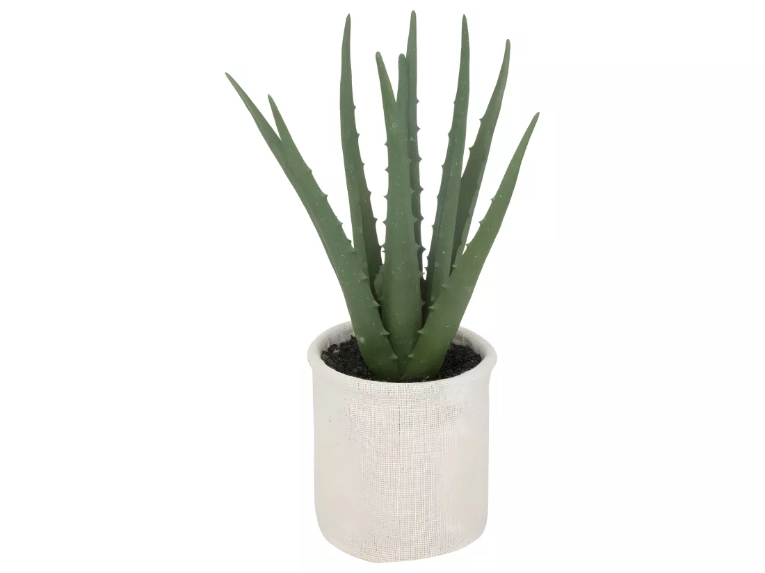 Plante artificielle Aloe vera Pot en coton H 29 cm
