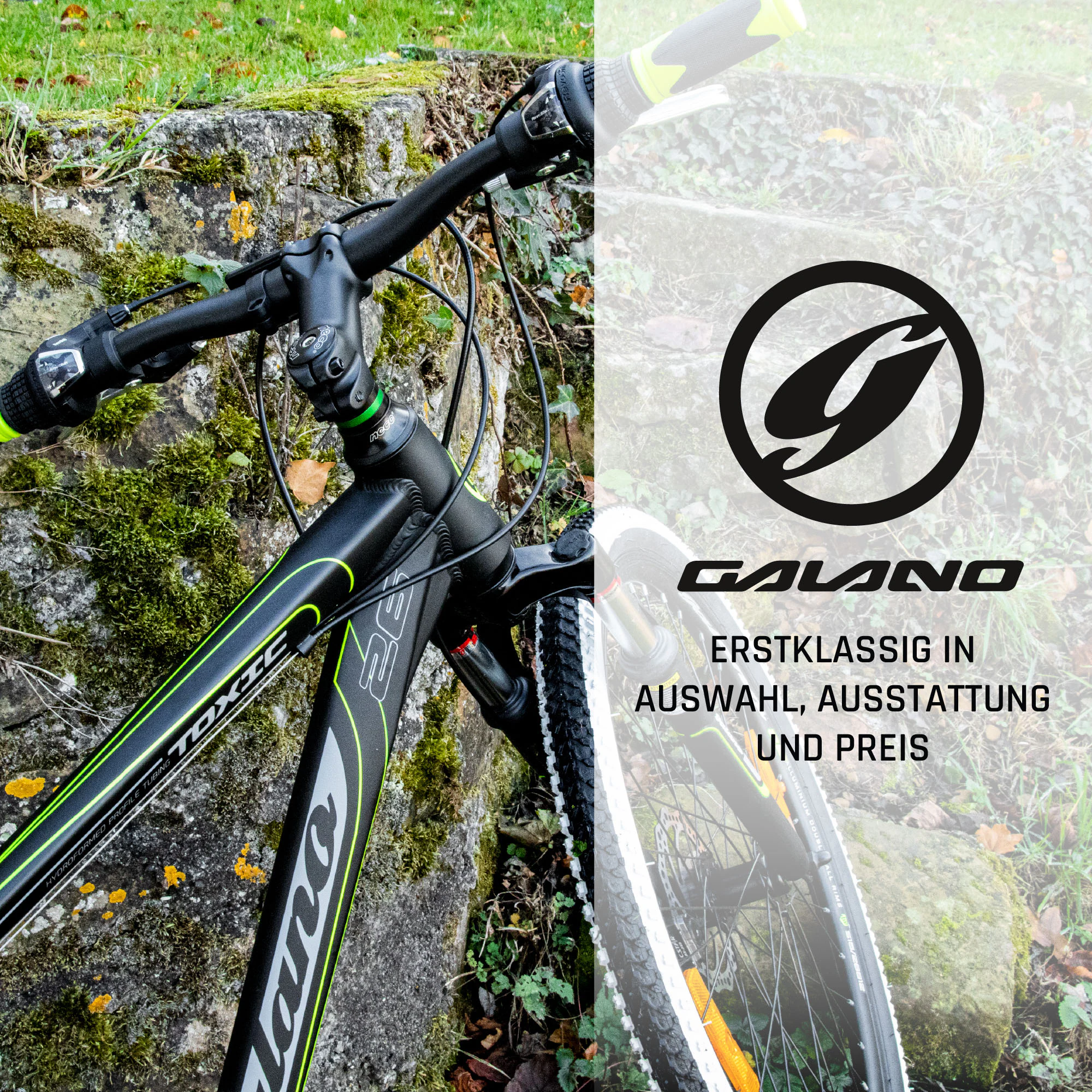 Galano Toxic 26 Zoll Mountainbike 145 - 185 cm MTB Hardtail Fahrrad 21 Gänge Scheibenbremsen Damen Herren Jugendliche unisex