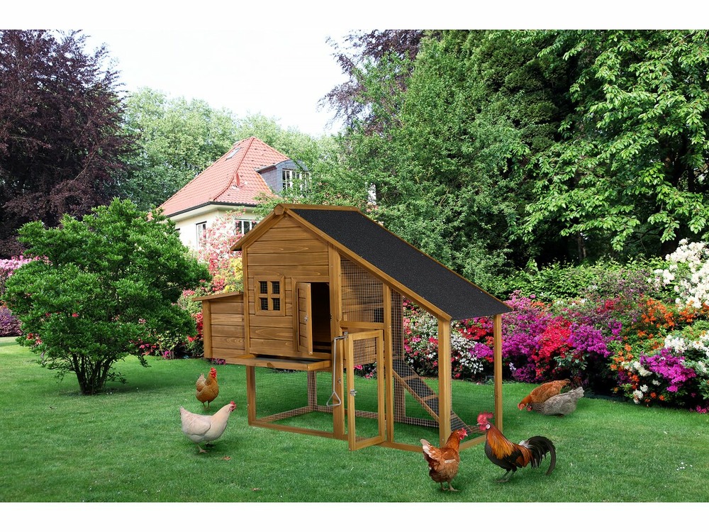 Poulailler en bois 