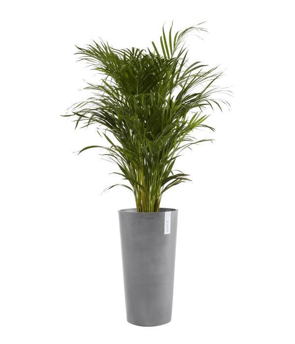 Ecopots Kunststoff-Topf Amsterdam hoch, rund