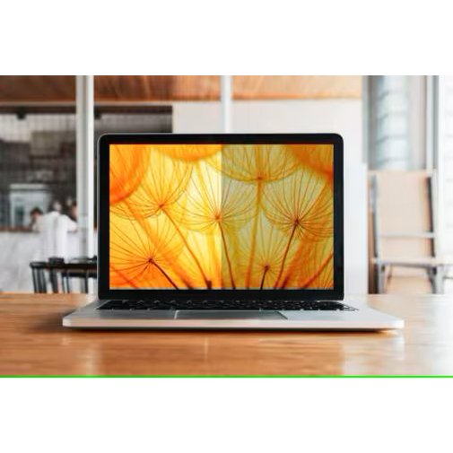 3M BP133W1E filtre anti-reflets pour écran et filtre de confidentialité 33,8 cm (13.3