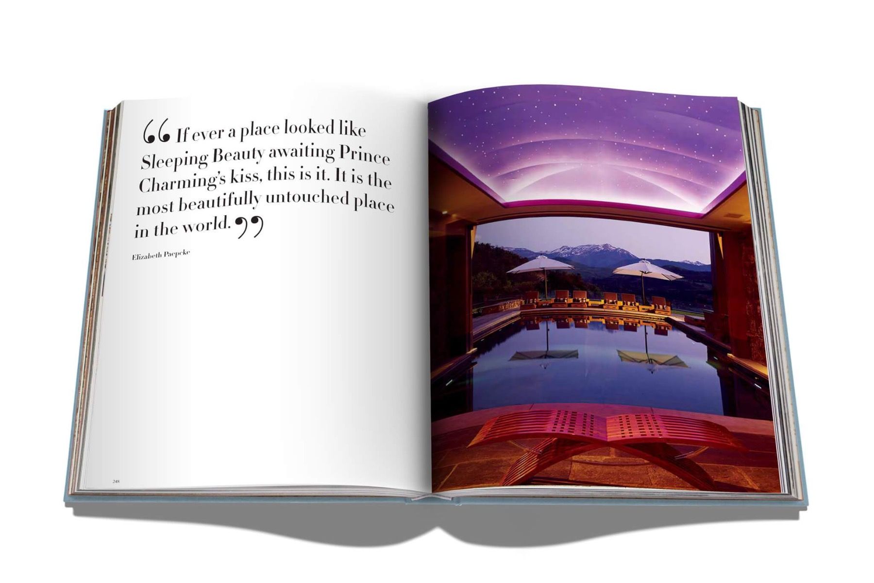 Assouline Aspen Style