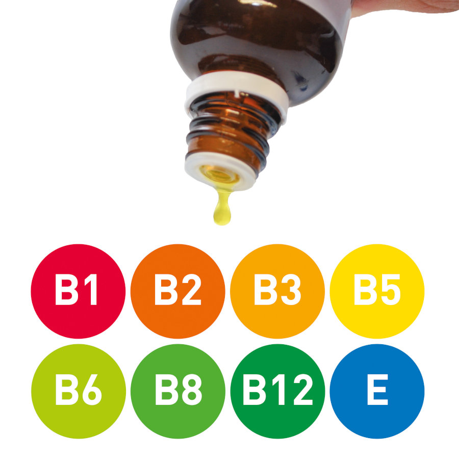 Multivitaminas Beaphar com Carnitina para Cães