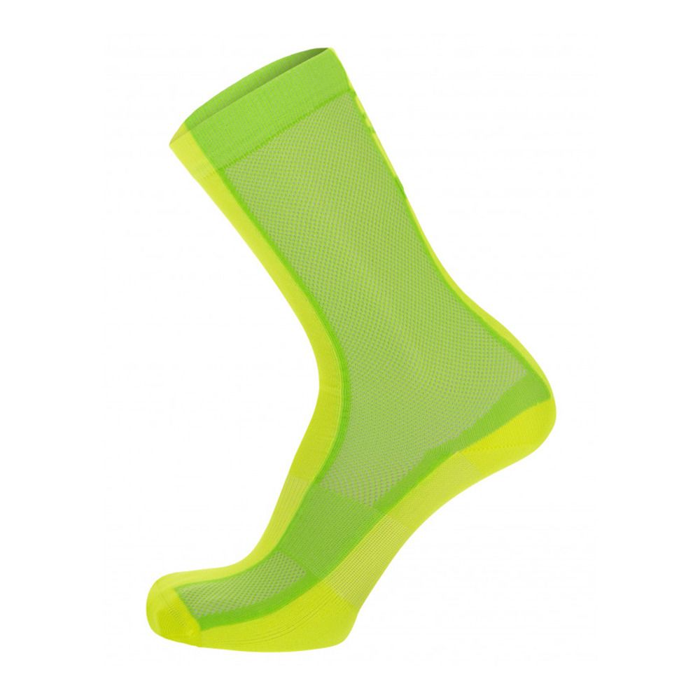 Santini PURO - Chaussettes vert