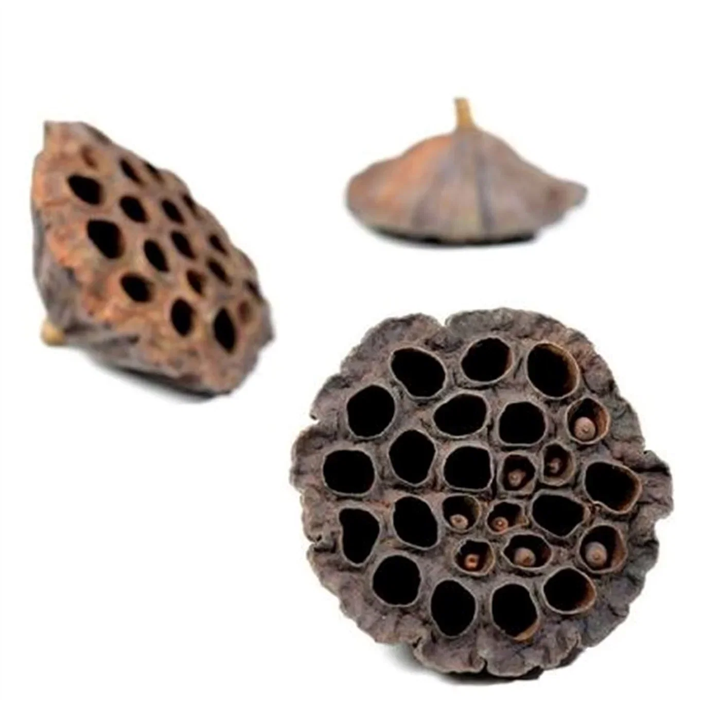 Tørket lotusblomst 5 pk