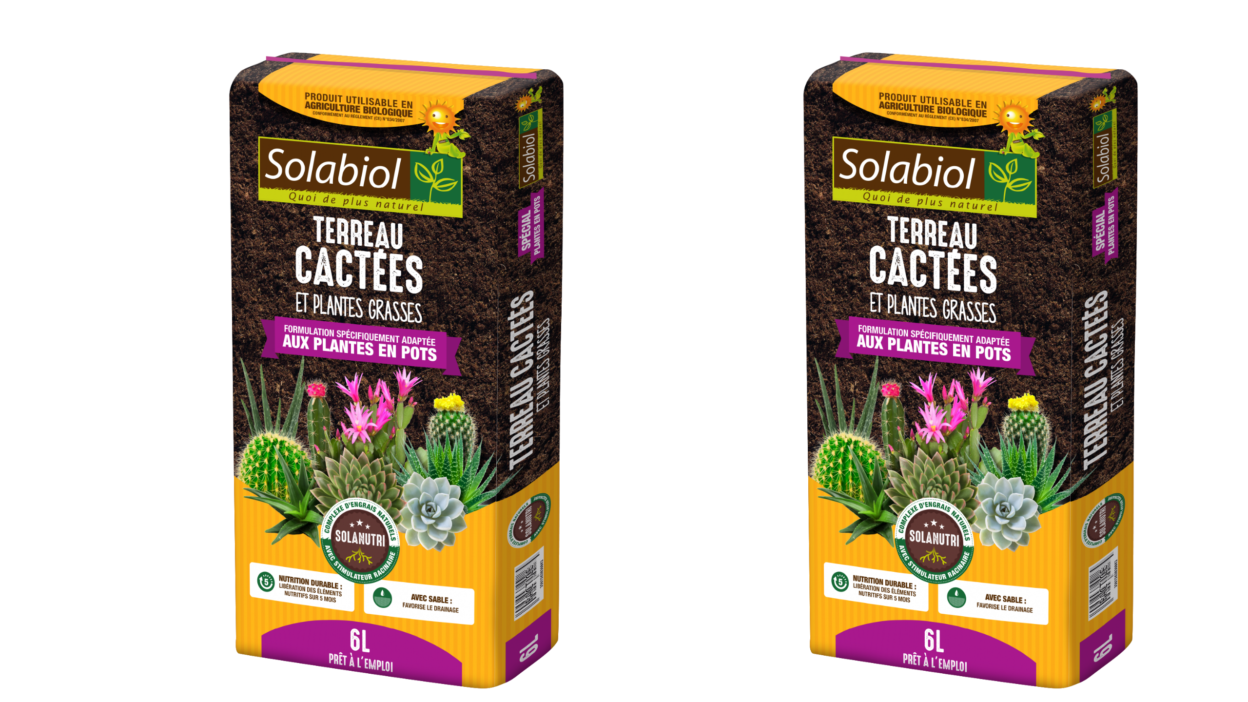 Tercac6x2 | 2 terreaux cactées et plantes grasses | 2x6l | croissance