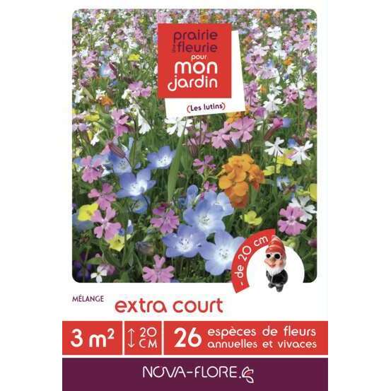 Mélange fleuri 
