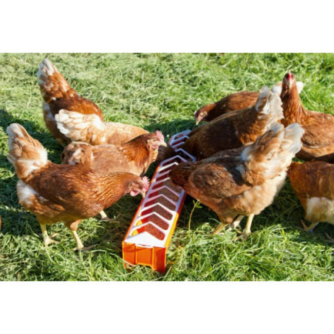 Mangeoire en PVC pour poussins 7 cm x 50 cm Kerbl