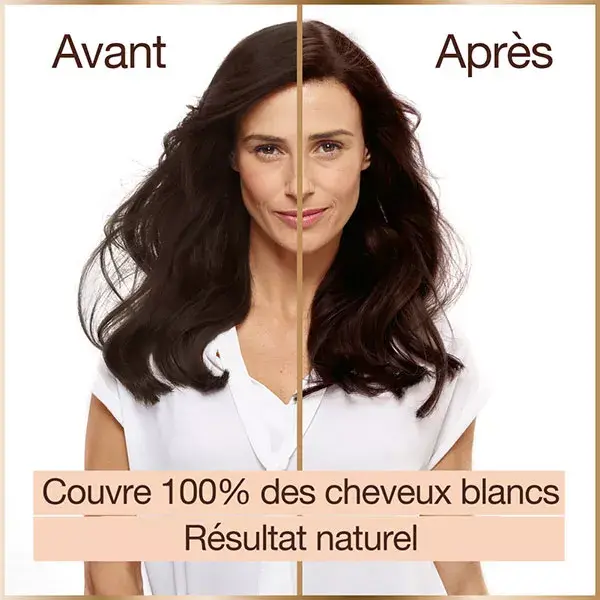 Garnier Good Coloration N°4.15 Marron Glacé