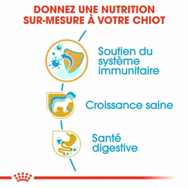 Croquettes Royal Canin Jack Russel Junior