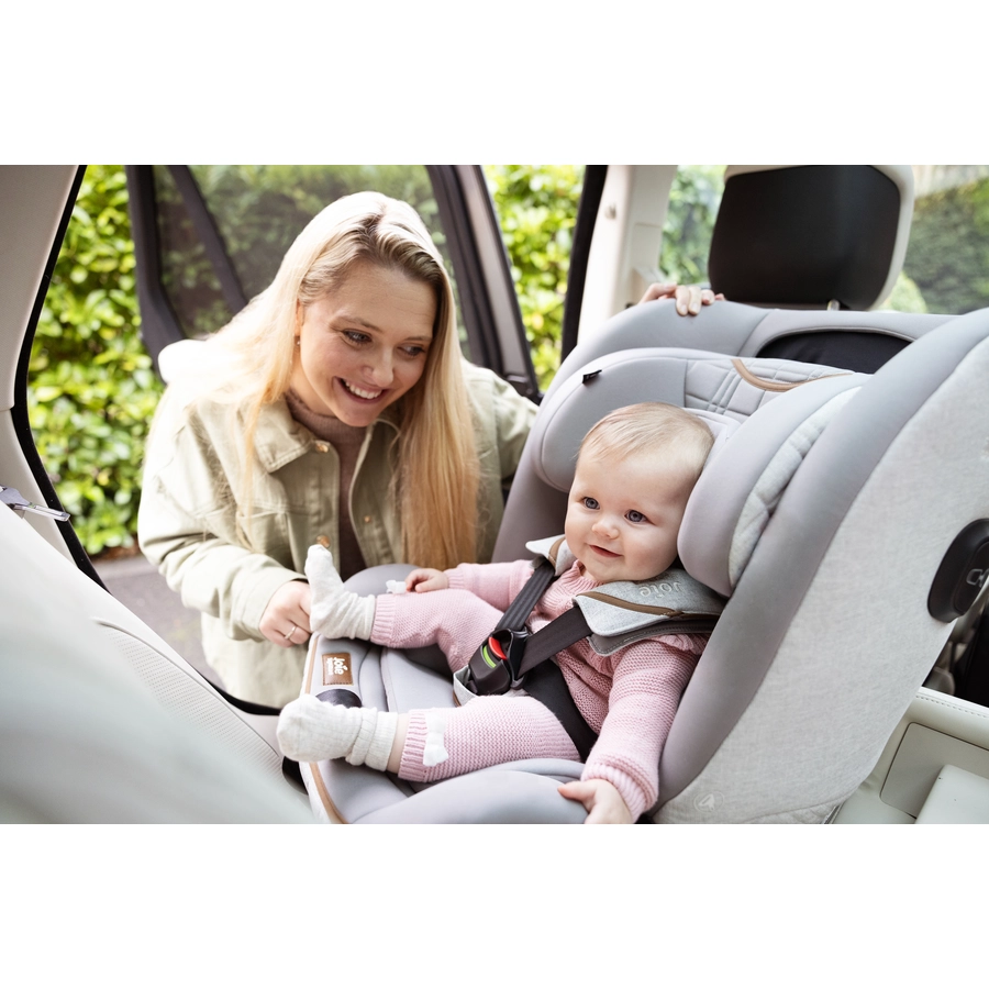 Joie Signature i-Spin XL Autokindersitz Pine