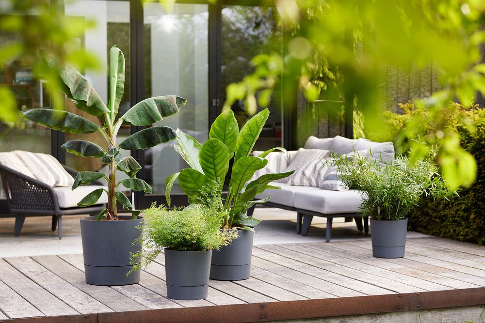 Elho bloempot Greensense Aqua Care antraciet D 29,5 H 29,1 cm