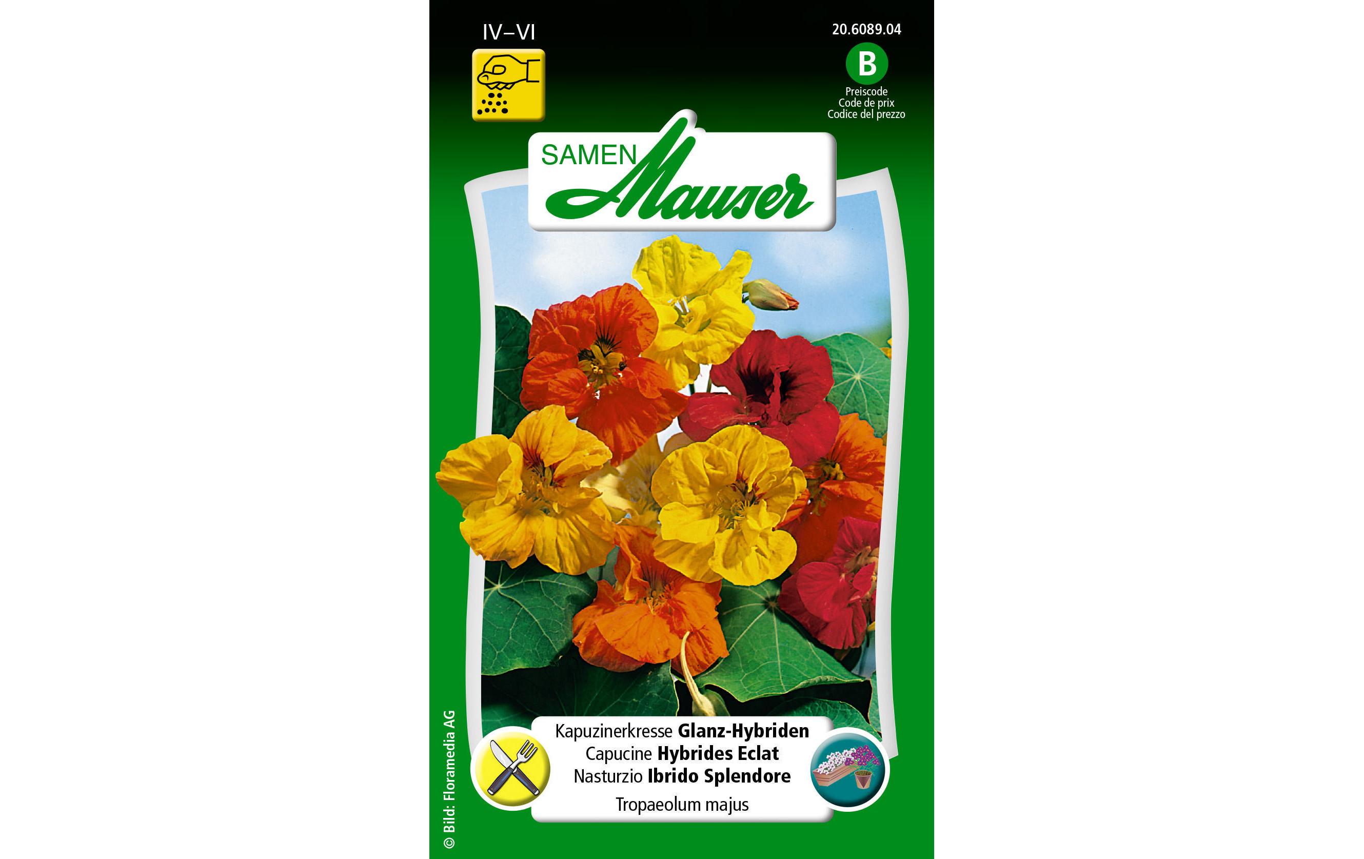 Essbare Blüten Kapuzinerkresse GlanzHybridenBlumensamen