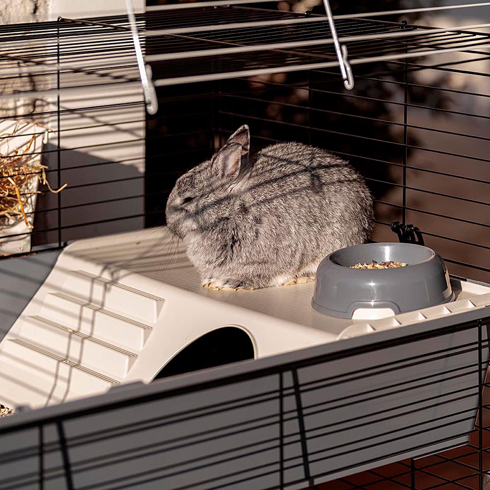 Ferplast cage à 2 étages pour lapins rabbit 100 double, maisonnette pour petits animaux, clapier avec accessoires inclus, en métal